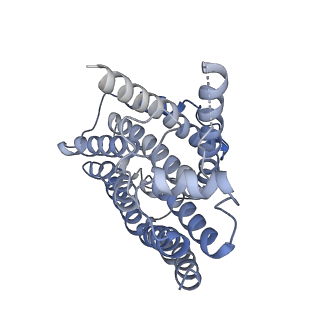 20692_6u8y_M_v1-2
Structure of the membrane-bound sulfane sulfur reductase (MBS), an archaeal respiratory membrane complex
