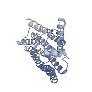 20692_6u8y_M_v1-3
Structure of the membrane-bound sulfane sulfur reductase (MBS), an archaeal respiratory membrane complex