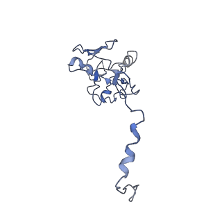 20692_6u8y_N_v1-2
Structure of the membrane-bound sulfane sulfur reductase (MBS), an archaeal respiratory membrane complex
