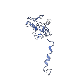 20692_6u8y_N_v1-3
Structure of the membrane-bound sulfane sulfur reductase (MBS), an archaeal respiratory membrane complex