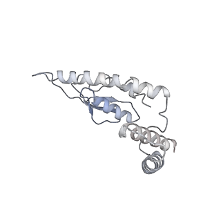 20692_6u8y_a_v1-3
Structure of the membrane-bound sulfane sulfur reductase (MBS), an archaeal respiratory membrane complex