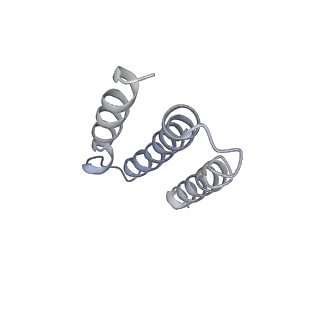 20692_6u8y_b_v1-3
Structure of the membrane-bound sulfane sulfur reductase (MBS), an archaeal respiratory membrane complex