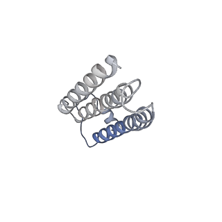 20692_6u8y_c_v1-3
Structure of the membrane-bound sulfane sulfur reductase (MBS), an archaeal respiratory membrane complex