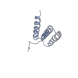 20692_6u8y_d_v1-3
Structure of the membrane-bound sulfane sulfur reductase (MBS), an archaeal respiratory membrane complex