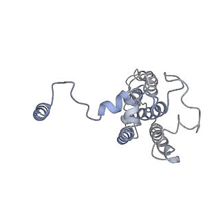 20692_6u8y_e_v1-3
Structure of the membrane-bound sulfane sulfur reductase (MBS), an archaeal respiratory membrane complex