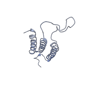 20692_6u8y_g_v1-3
Structure of the membrane-bound sulfane sulfur reductase (MBS), an archaeal respiratory membrane complex