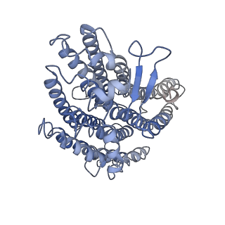 20692_6u8y_h_v1-2
Structure of the membrane-bound sulfane sulfur reductase (MBS), an archaeal respiratory membrane complex