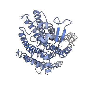 20692_6u8y_h_v1-3
Structure of the membrane-bound sulfane sulfur reductase (MBS), an archaeal respiratory membrane complex