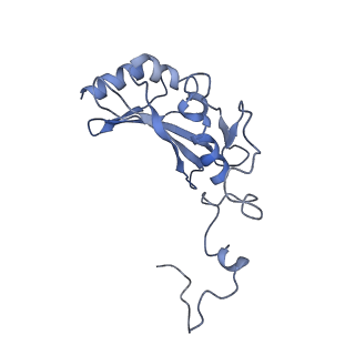 20692_6u8y_k_v1-2
Structure of the membrane-bound sulfane sulfur reductase (MBS), an archaeal respiratory membrane complex