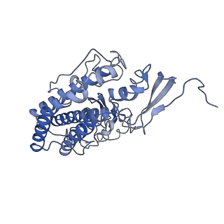 20692_6u8y_l_v1-2
Structure of the membrane-bound sulfane sulfur reductase (MBS), an archaeal respiratory membrane complex