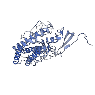 20692_6u8y_l_v1-3
Structure of the membrane-bound sulfane sulfur reductase (MBS), an archaeal respiratory membrane complex