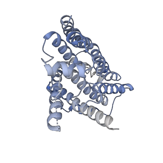 20692_6u8y_m_v1-2
Structure of the membrane-bound sulfane sulfur reductase (MBS), an archaeal respiratory membrane complex