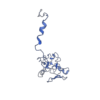 20692_6u8y_n_v1-2
Structure of the membrane-bound sulfane sulfur reductase (MBS), an archaeal respiratory membrane complex