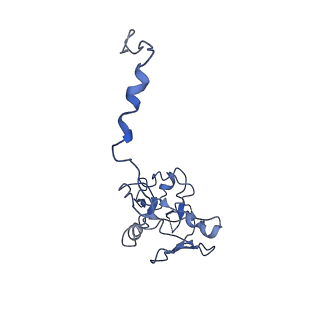 20692_6u8y_n_v1-3
Structure of the membrane-bound sulfane sulfur reductase (MBS), an archaeal respiratory membrane complex