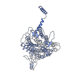 20692_6u8y_x_v1-2
Structure of the membrane-bound sulfane sulfur reductase (MBS), an archaeal respiratory membrane complex