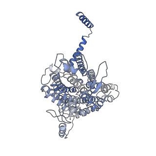 20692_6u8y_x_v1-3
Structure of the membrane-bound sulfane sulfur reductase (MBS), an archaeal respiratory membrane complex