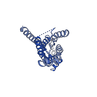 26383_7u8g_A_v1-0
Cryo-EM structure of the core human NADPH oxidase NOX2