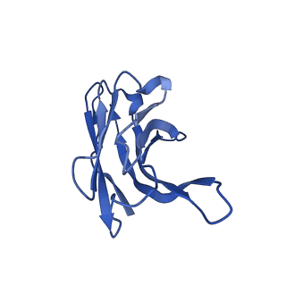 26383_7u8g_D_v1-0
Cryo-EM structure of the core human NADPH oxidase NOX2
