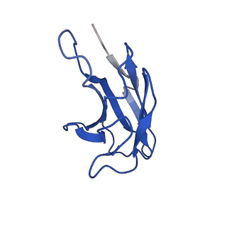 26383_7u8g_E_v1-0
Cryo-EM structure of the core human NADPH oxidase NOX2
