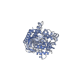 26385_7u8o_A_v1-1
Structure of porcine V-ATPase with mEAK7 and SidK, Rotary state 2