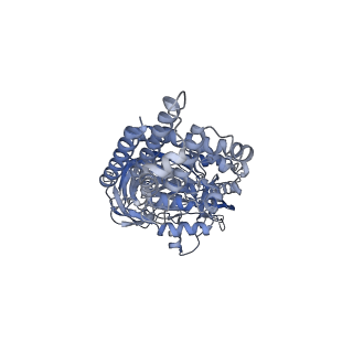 26385_7u8o_A_v1-2
Structure of porcine V-ATPase with mEAK7 and SidK, Rotary state 2