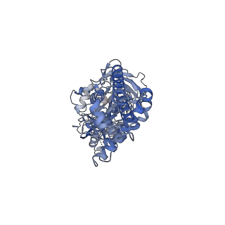 26385_7u8o_B_v1-1
Structure of porcine V-ATPase with mEAK7 and SidK, Rotary state 2