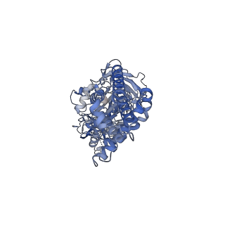 26385_7u8o_B_v1-2
Structure of porcine V-ATPase with mEAK7 and SidK, Rotary state 2