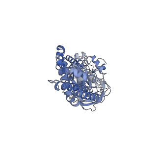 26385_7u8o_C_v1-1
Structure of porcine V-ATPase with mEAK7 and SidK, Rotary state 2