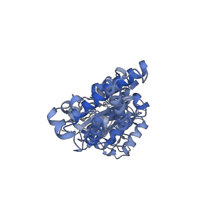26385_7u8o_D_v1-1
Structure of porcine V-ATPase with mEAK7 and SidK, Rotary state 2