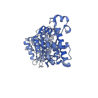 26385_7u8o_E_v1-1
Structure of porcine V-ATPase with mEAK7 and SidK, Rotary state 2