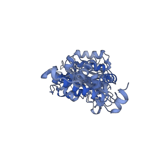 26385_7u8o_F_v1-1
Structure of porcine V-ATPase with mEAK7 and SidK, Rotary state 2