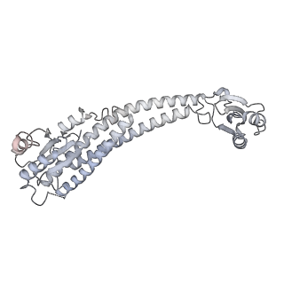 26385_7u8o_G_v1-1
Structure of porcine V-ATPase with mEAK7 and SidK, Rotary state 2