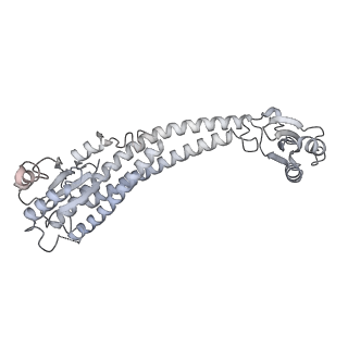 26385_7u8o_G_v1-2
Structure of porcine V-ATPase with mEAK7 and SidK, Rotary state 2