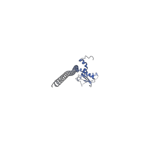 26385_7u8o_J_v1-1
Structure of porcine V-ATPase with mEAK7 and SidK, Rotary state 2