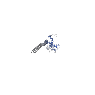 26385_7u8o_J_v1-2
Structure of porcine V-ATPase with mEAK7 and SidK, Rotary state 2