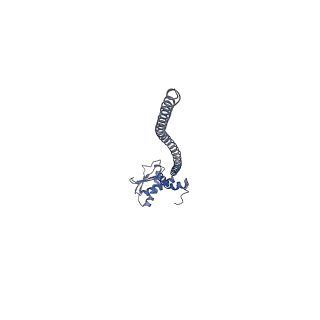 26385_7u8o_K_v1-1
Structure of porcine V-ATPase with mEAK7 and SidK, Rotary state 2