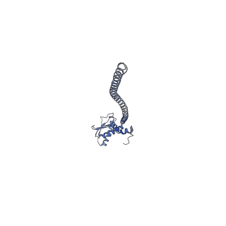 26385_7u8o_K_v1-2
Structure of porcine V-ATPase with mEAK7 and SidK, Rotary state 2