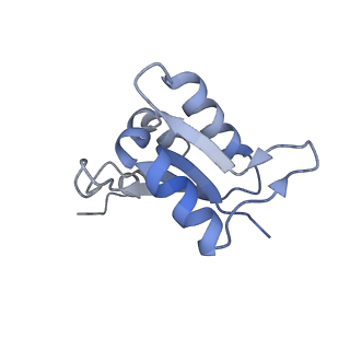 26385_7u8o_L_v1-1
Structure of porcine V-ATPase with mEAK7 and SidK, Rotary state 2