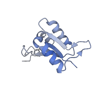 26385_7u8o_L_v1-2
Structure of porcine V-ATPase with mEAK7 and SidK, Rotary state 2