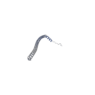 26385_7u8o_N_v1-2
Structure of porcine V-ATPase with mEAK7 and SidK, Rotary state 2