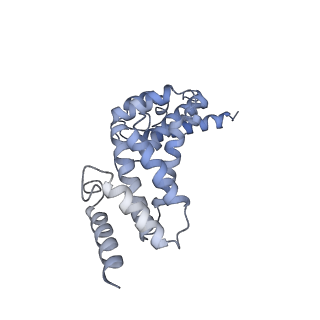 26385_7u8o_Q_v1-1
Structure of porcine V-ATPase with mEAK7 and SidK, Rotary state 2