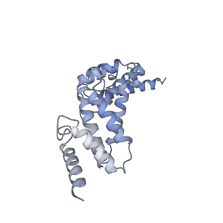 26385_7u8o_Q_v1-2
Structure of porcine V-ATPase with mEAK7 and SidK, Rotary state 2