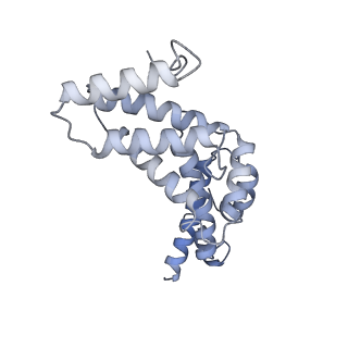26385_7u8o_R_v1-1
Structure of porcine V-ATPase with mEAK7 and SidK, Rotary state 2