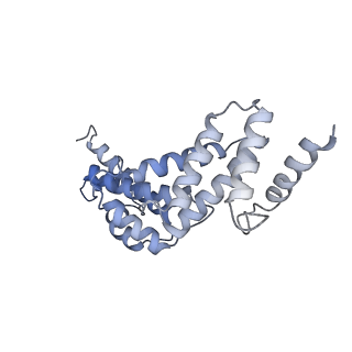 26385_7u8o_S_v1-1
Structure of porcine V-ATPase with mEAK7 and SidK, Rotary state 2