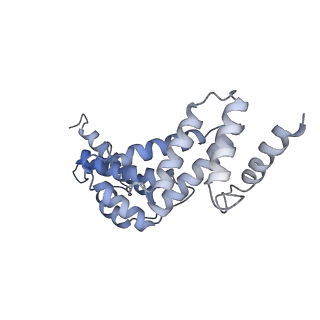 26385_7u8o_S_v1-2
Structure of porcine V-ATPase with mEAK7 and SidK, Rotary state 2