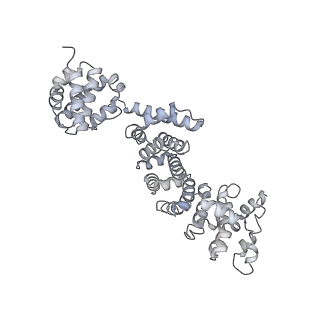 26385_7u8o_T_v1-1
Structure of porcine V-ATPase with mEAK7 and SidK, Rotary state 2