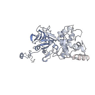 26385_7u8o_U_v1-1
Structure of porcine V-ATPase with mEAK7 and SidK, Rotary state 2