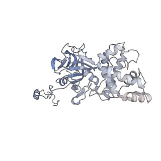 26385_7u8o_U_v1-2
Structure of porcine V-ATPase with mEAK7 and SidK, Rotary state 2