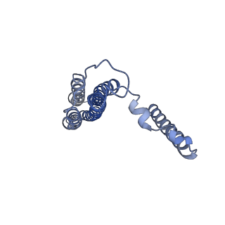26385_7u8o_b_v1-1
Structure of porcine V-ATPase with mEAK7 and SidK, Rotary state 2
