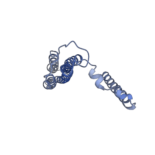 26385_7u8o_b_v1-2
Structure of porcine V-ATPase with mEAK7 and SidK, Rotary state 2